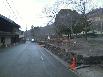 春日大社から東大寺への徒歩ルート 奈良の寺 神社を徒歩で巡る旅